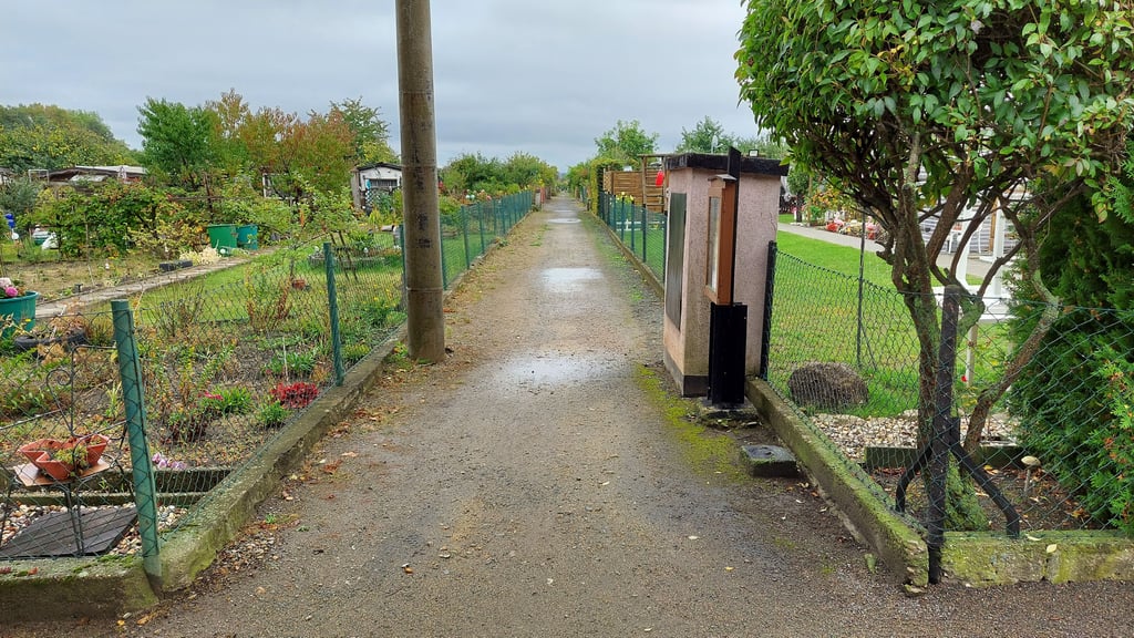 Blick in eine Gartensparte.
