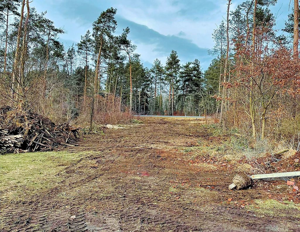 Die Räumung des Geländes für die neue Straße hat begonnen.