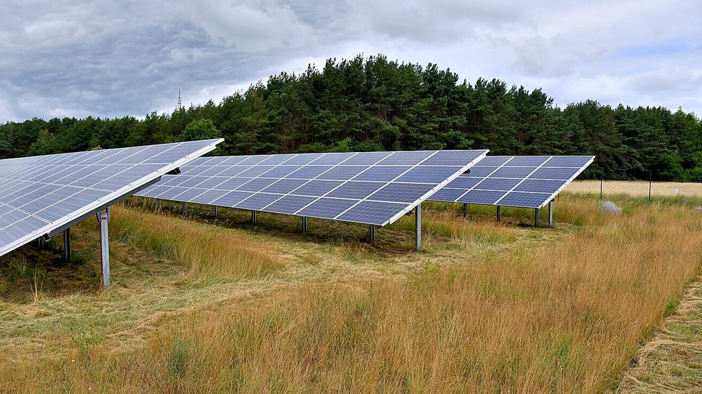 Die Gemeinde Zehrental bei Seehausen (Altmark) setzt in großem Stil auf Freiflächen-PV-Anlagen. Im Jahr 2026 könnten die ersten stehen.