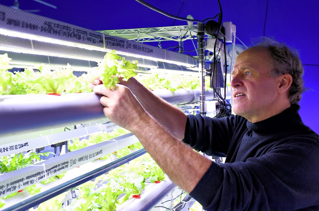 Hier betreib Dr. Martin Pittorf eine Hydroponik-Farm und baut in einem futuristisch anmutenden Stil Salate und weitere Gemüse an. 