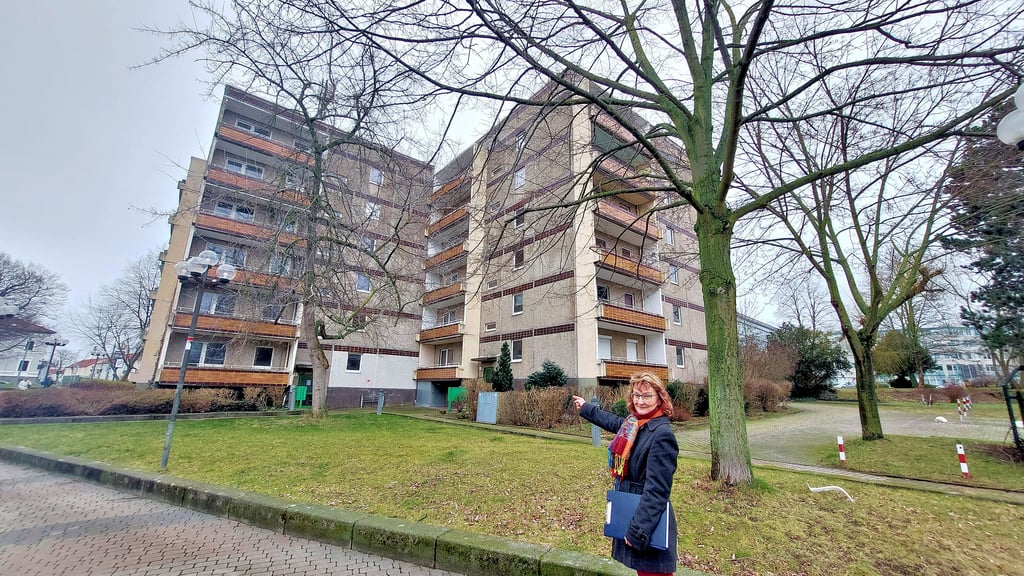 Am Breiten Tor in Halberstadt soll ein sogenanntes Punkthaus saniert werden. Das erfordert allerdings, dass einige Bäume im Umfeld gefällt werden müssen, erklärt Roswitha Hutfilz von der Abteilung Stadtgrün der Stadt Halberstadt.