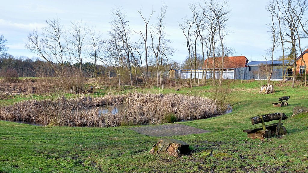 Rastplatz für Ausflügler – der Dorfteich in Brewitz.