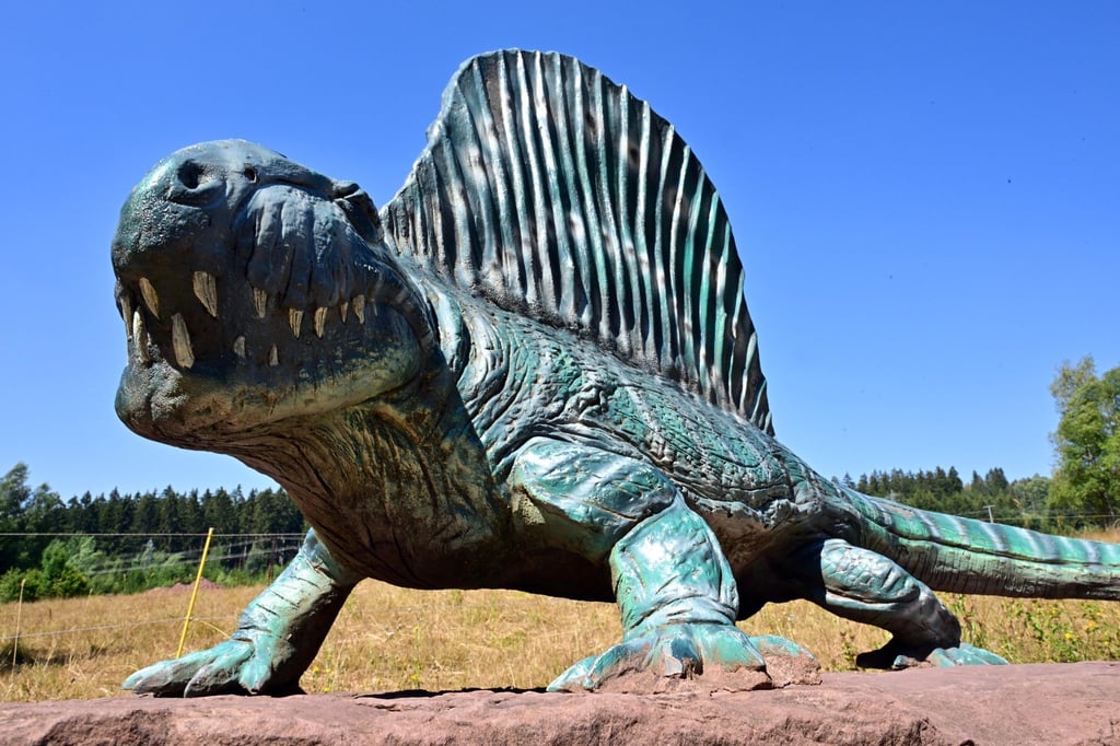 Die Nachbildung eines Segelrücken-Sauriers (Dimetrodon teutonis), dessen Überreste am Bromacker ausgegraben wurden, ist am Bromacker zwischen Tambach-Dietharz und Georgenthal aufgestellt und Teil eines Saurier-Erlebnispfades.