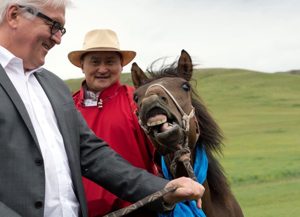 Der damalige Bundesaußenminister Frank-Walter Steinmeier (l) hat bei seiner Reise in die Mongolei im Jahr 2014 ein Pferd namens „Donnernde Hufe“ geschenkt bekommen (Archivbild).