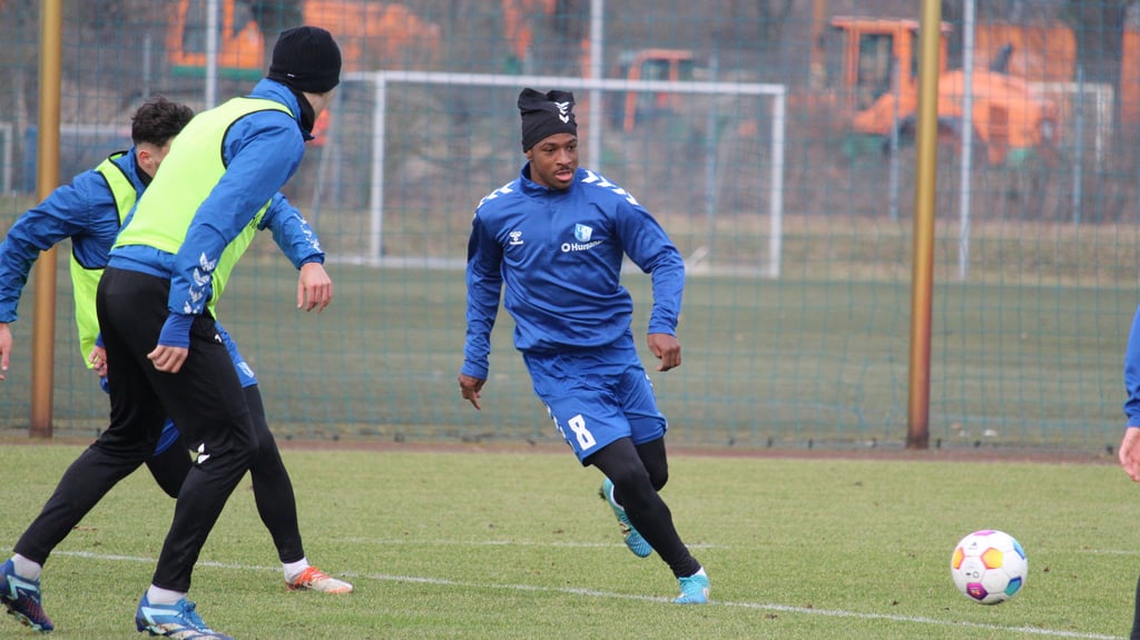 Bryan Teixeira bei seiner ersten Trainingseinheit mit dem 1. FC Magdeburg.