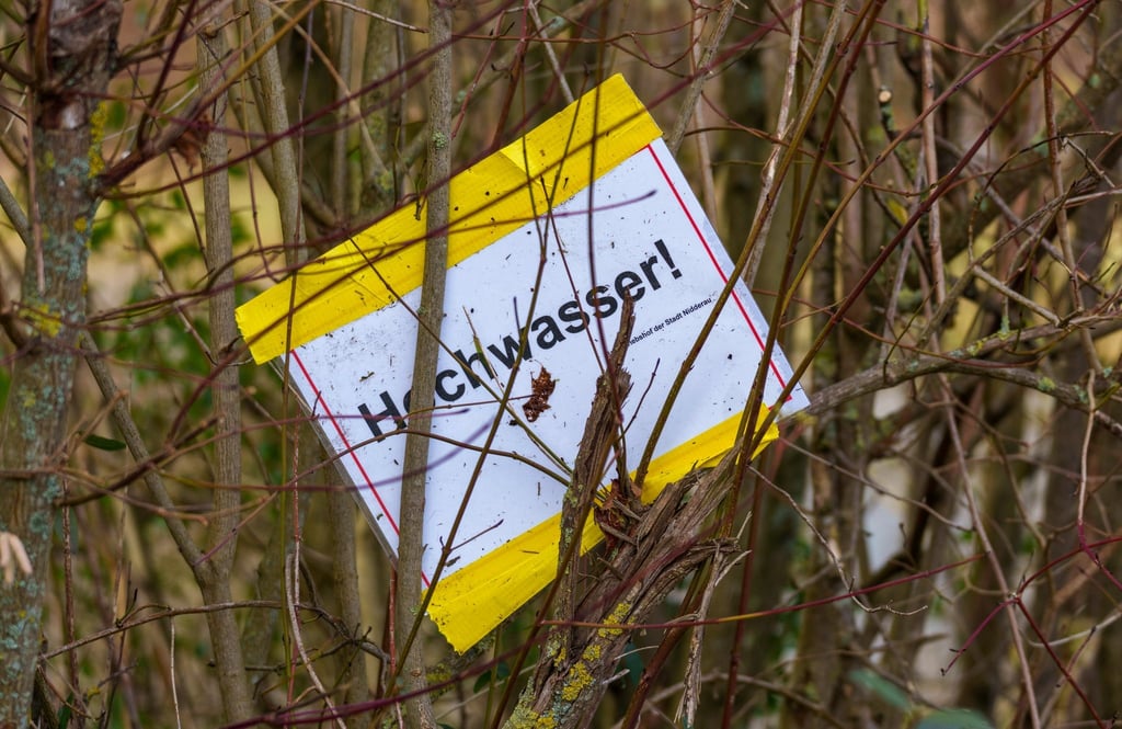 Ein Plakat „Hochwasser!“ hängt in einer Hecke.