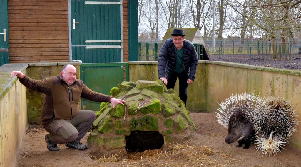 Demnächst soll das Stachelschweingehege mit Wiesenpark Oschersleben umgebaut werden. Daran werden sich unter anderem Tierparkleiter Björn Löffler (l.) und der Fördervereinsvorsitzende René Herbert beteiligen.