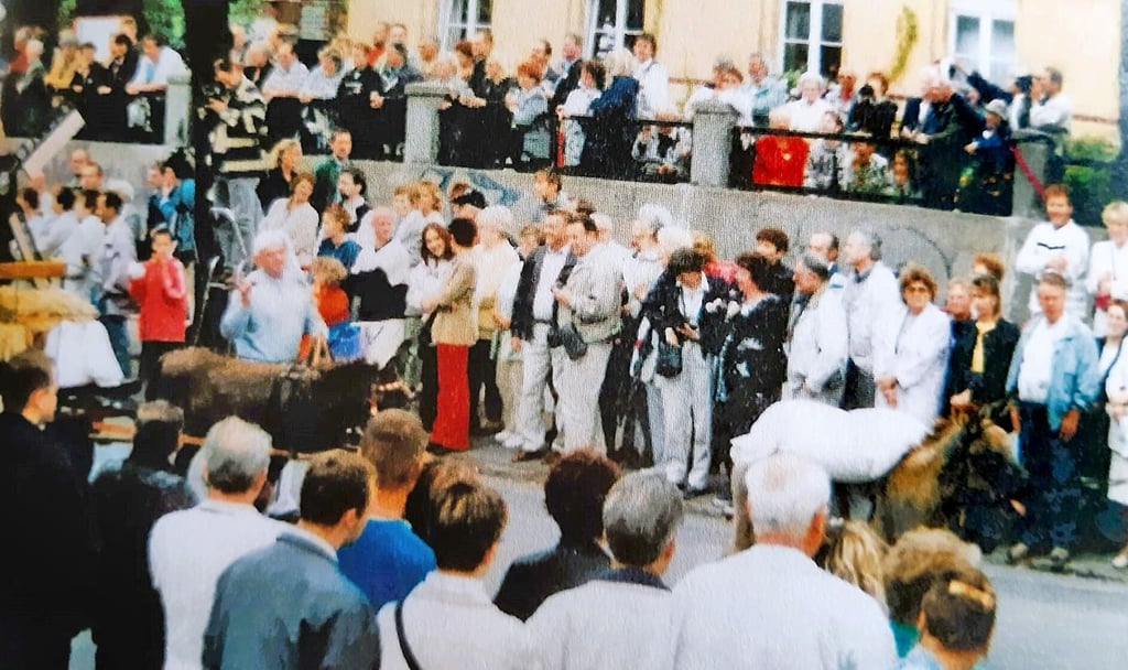 Zum großen Umzug bei der 600-Jahr-Feier säumten viele Wolfener und ihre Gäste die Straßen.