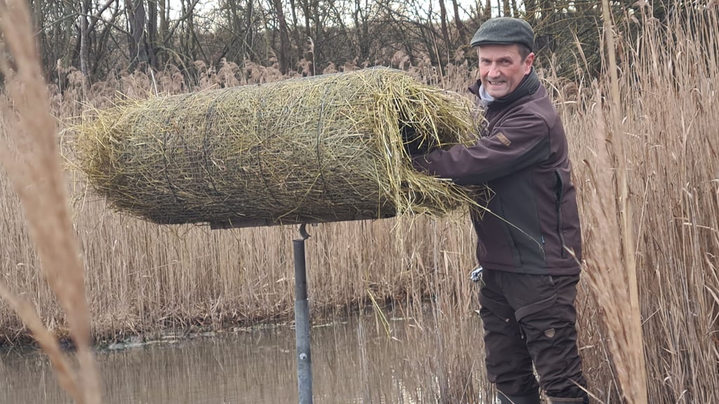 Der Präsident Landesjagdverband Sachsen-Anhalt, Carsten Scholz, bringt in einem Teich im Landschaftsschutzgebiet Wanzleben-Buch eine Nisthilfe für Enten an.