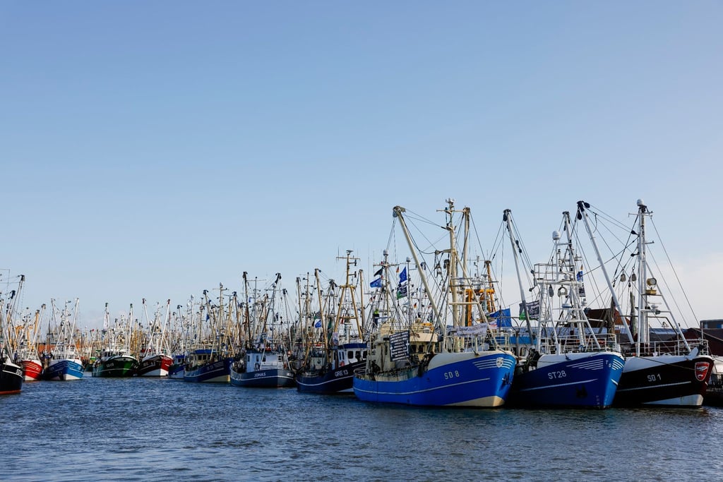 Fischerboote liegen nach einer Kutterdemonstration anlässlich der Agrarministerkonferenz im Hafen.