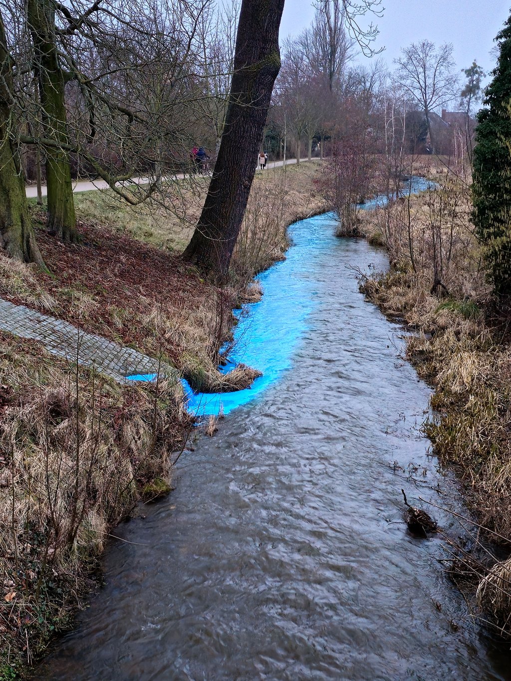 In die Nuthe in Zerbst wurde eine mysteriöse blaue Substanz eingeleitet.