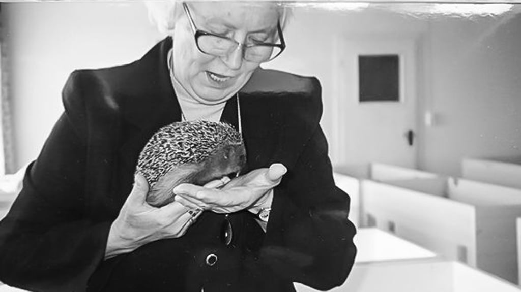 Ingrid Dorschner pflegte und hegte hunderte Igel.