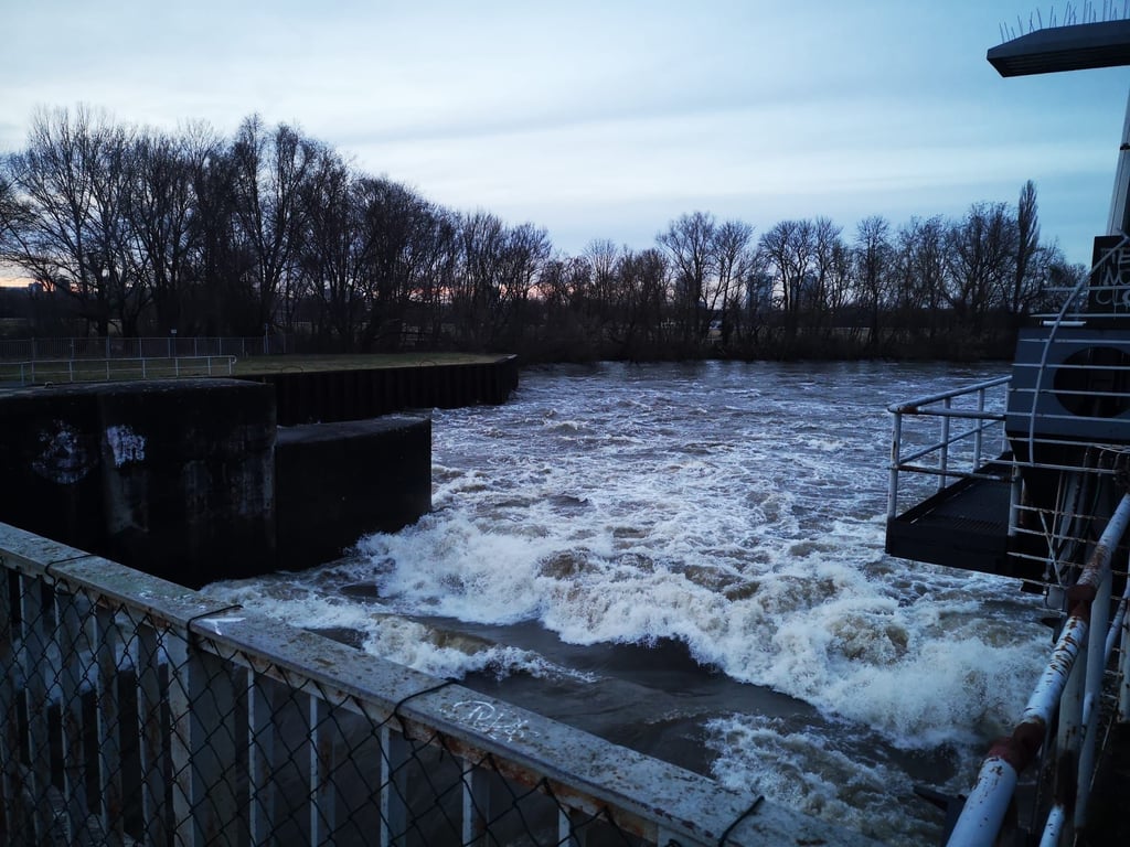 So ist der Wasserstand aktuell am Wehr zwischen den Pulverweiden und der Pferderennbahn.