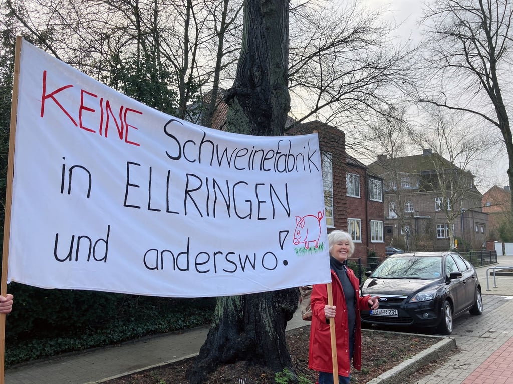 Elke Redlich von der Bürgerinitiative Region Dahlenburg protestiert mit anderen Demonstranten mit einem Plakat "Keine Schweinefabrik in Ellringen und anderswo!" gegen die Vergrößerung einer Schweinezuchtanlage in Ellringen.