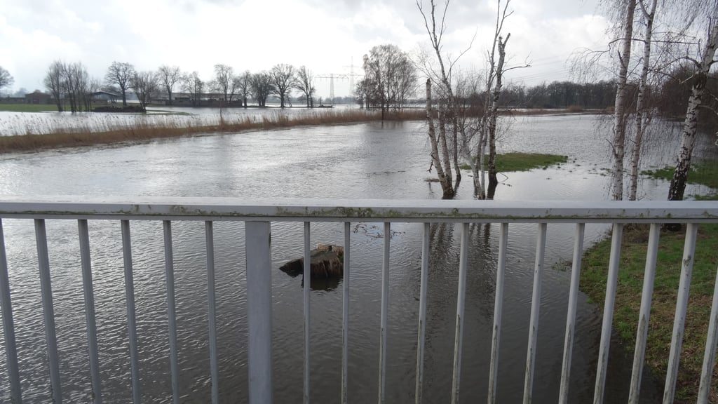 Die Biese bei Dobbrun (Osterburg) hat ihr Bett erneut großräumig verlassen. Überall stehen Koppelzäune unter Wasser.