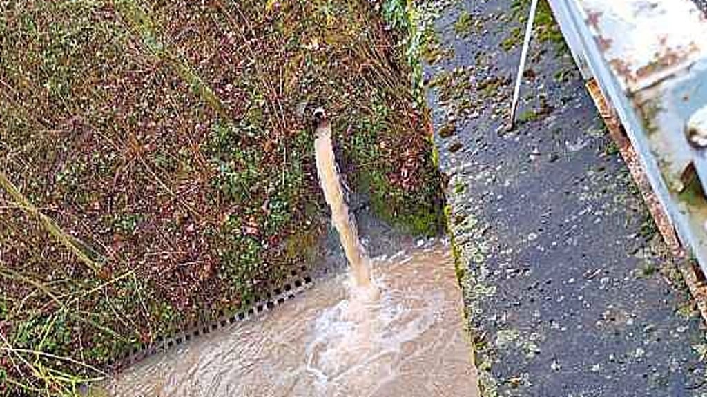 Gelblich-bräunliche Brühe fließt in den Zweierteich.