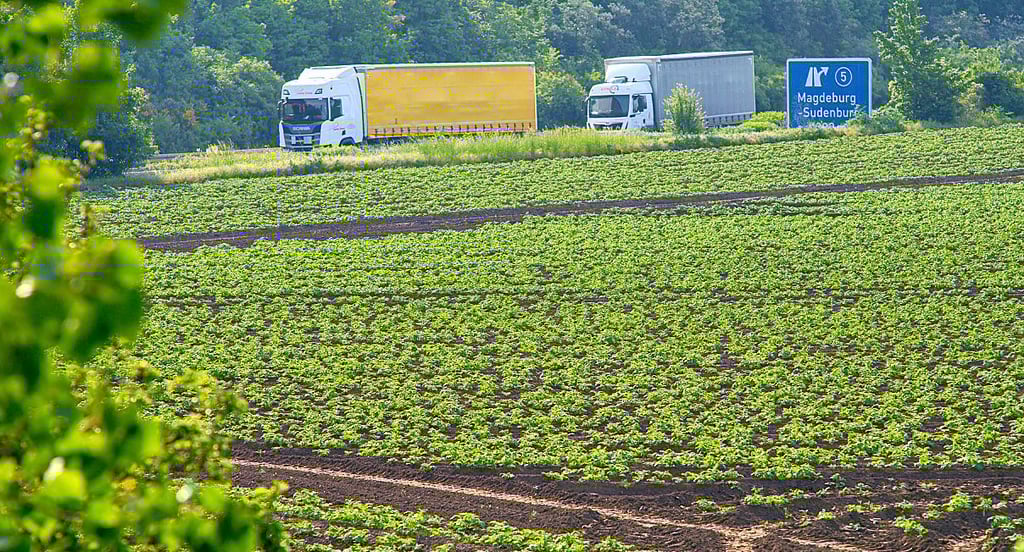 Der Bördeboden an der Autobahn 14, auf dem die Intel-Fabriken entstehen sollen, gilt als bester Acker in Sachsen-Anhalt.
