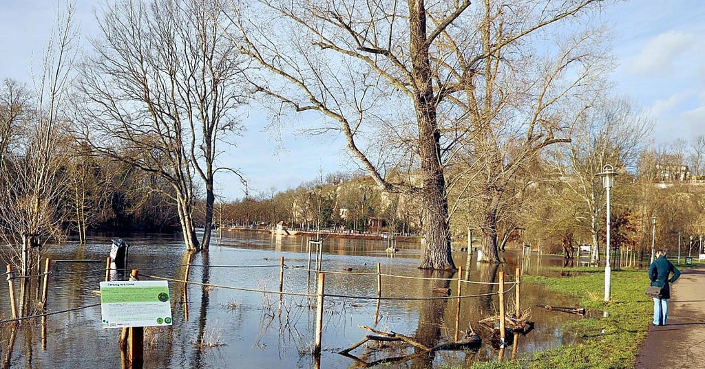 Hochwasser an der Saale Mitte Februar: Der Fluß ist über das Ufer getreten, einige Wege wurden gesperrt.