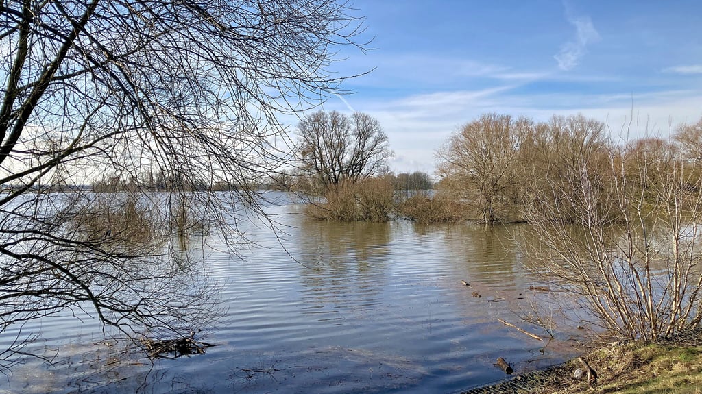 Vom Hochwasser überflutete Elbwiesen bei Wittenberg.