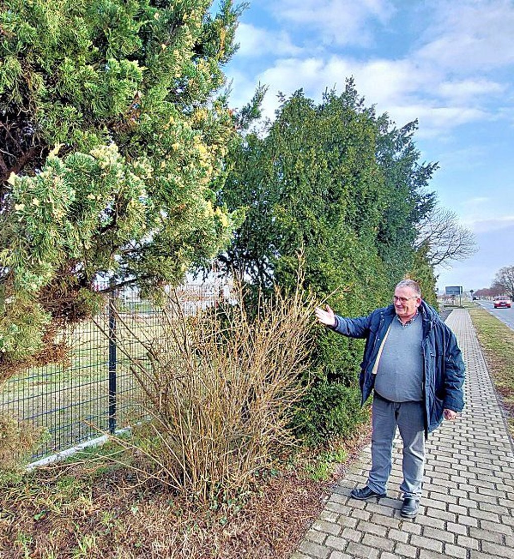 Der Aspenstedter Ortsbürgermeister Rüdiger Müller fordert, dass die Hecke gerodet wird.