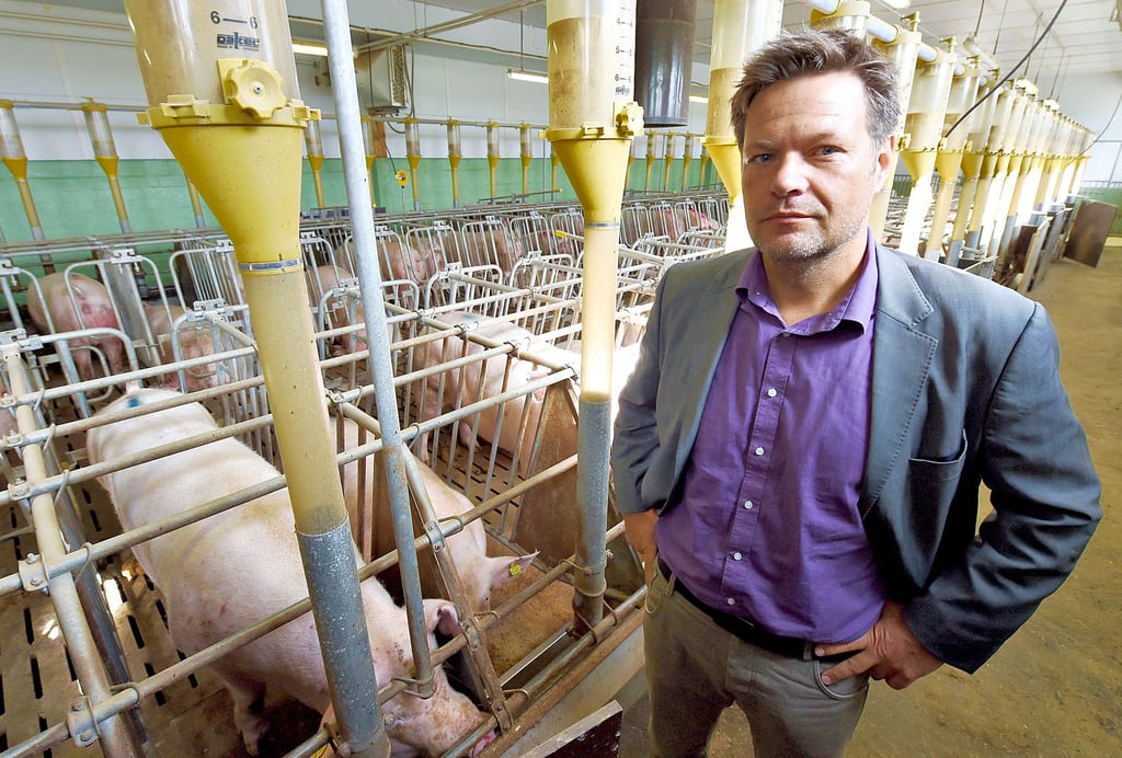 Robert Habeck möchte, dass Bauern mehr Geld für ihre Produkte erhalten.