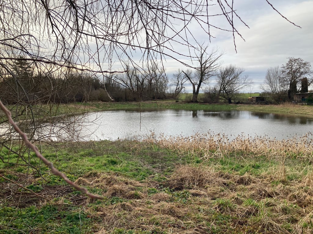 Im Teich von Altweidenbach ist wieder Wasser.