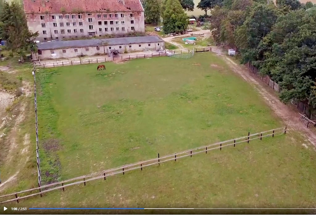Die Hellhound Foundation informiert auf ihrer Facebook-Seite auch mit Videos über ihre Liegenschaft in Bonese.