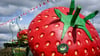 In den Karls Erlebnisdörfern dreht sich alles um die Erdbeere. Ostern 2024 kommt im sächsischen Döbeln ein neues Dorf hinzu.&nbsp;