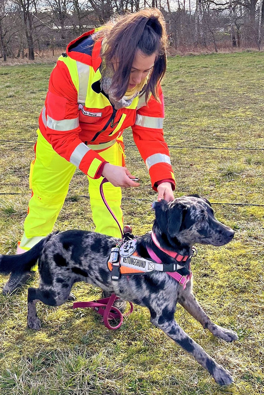 Sarah Naue gibt Hündin Bonnie frei zur Suche.