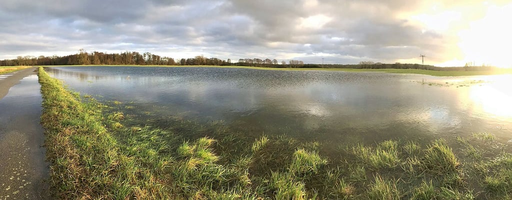 Das Hochwasser beschäftigt seit Dezember 2023 viele Altmärker.