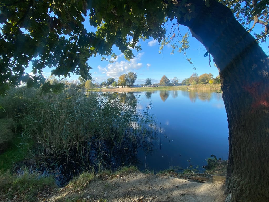 Der Kühnauer See.