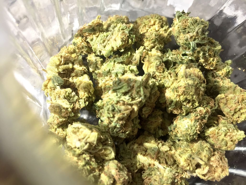 Bis zur Volljährigkeit soll Cannabis nach dem geplanten Gesetz verboten bleiben.