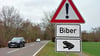 Mit diesen Schildern wird an der Calenberger Straße vor Wildwechsel gewarnt.