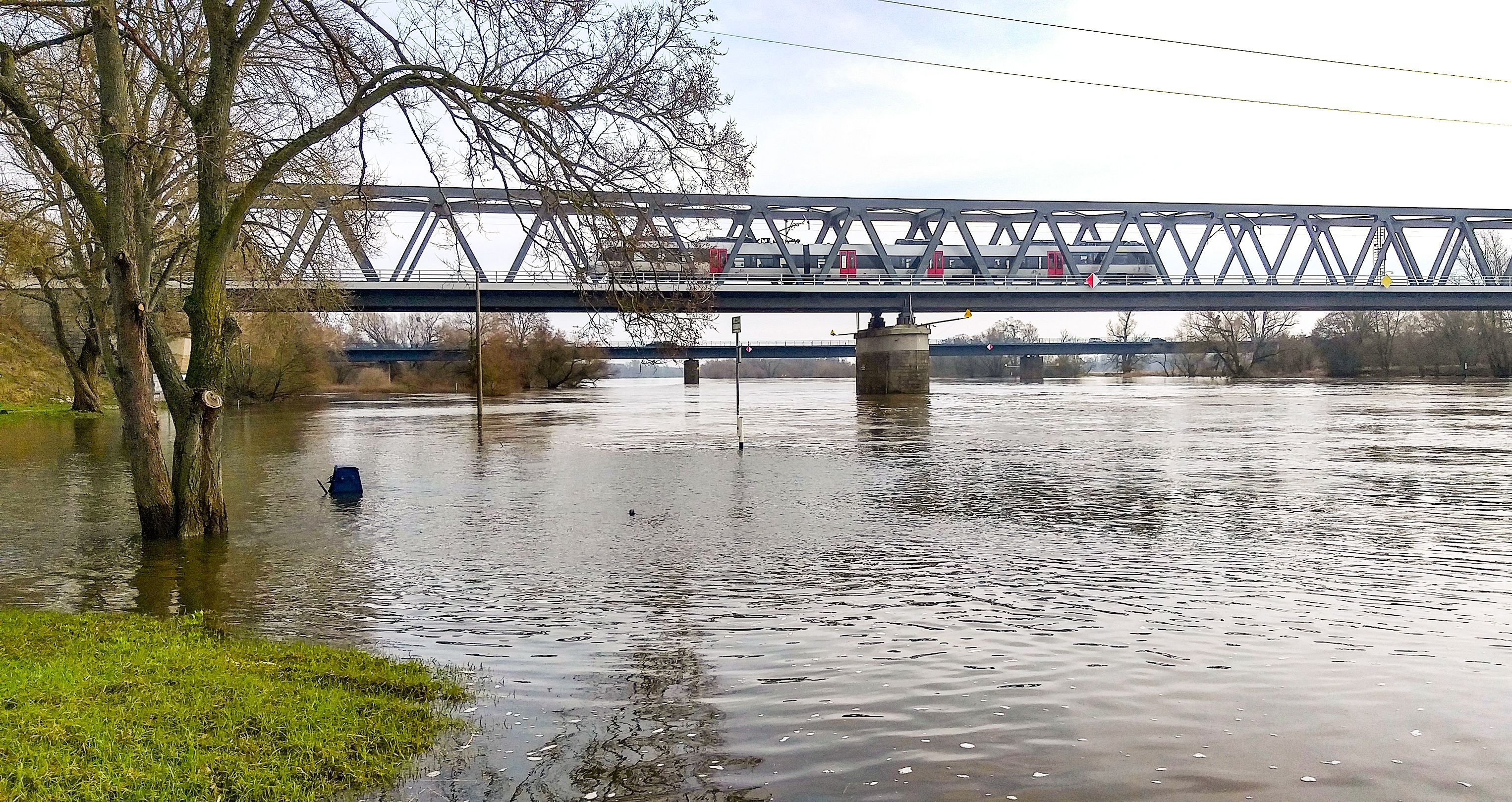 Lage an Elbe und Mulde: Hochwasser-Scheitel der Elbe hat Dessau-Roßlau 
