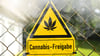 Mit der neuen Cannabis-Gesetzgebung wird die Droge in Deutschland legalisiert.