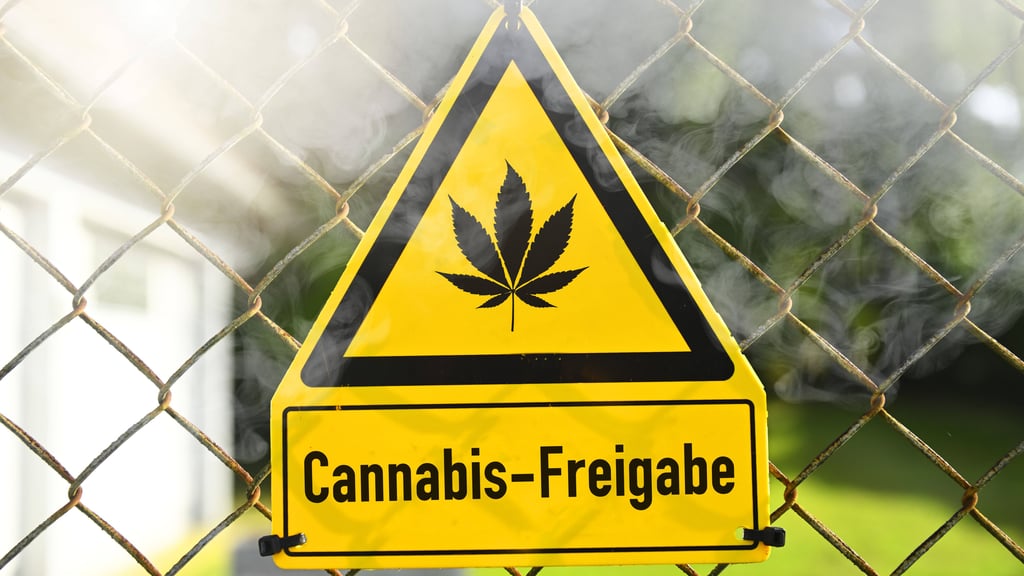Mit der neuen Cannabis-Gesetzgebung wird die Droge in Deutschland legalisiert.