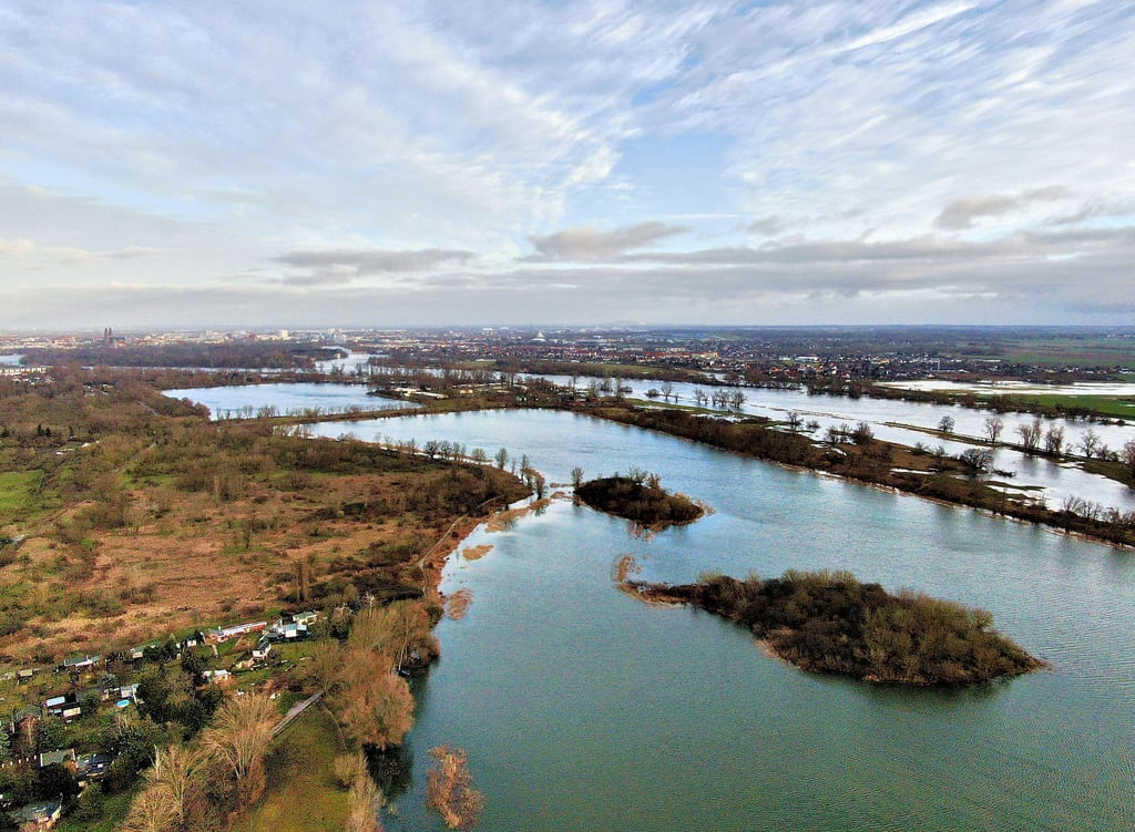 Die Salbker Seen aus der Vogelperspektive: Das Elbehochwasser macht aus ihnen derzeit eine Seenlandschaft.