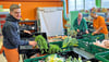 Für den Verkauf soll alles ansprechend präsentiert werden: Gerald Brülls, Joe Kurz und Shékari A. Aziz (von links) sortieren Obst und Gemüse  für die Kundschaft. Das markante Orange  ist die Tafel-Farbe. 