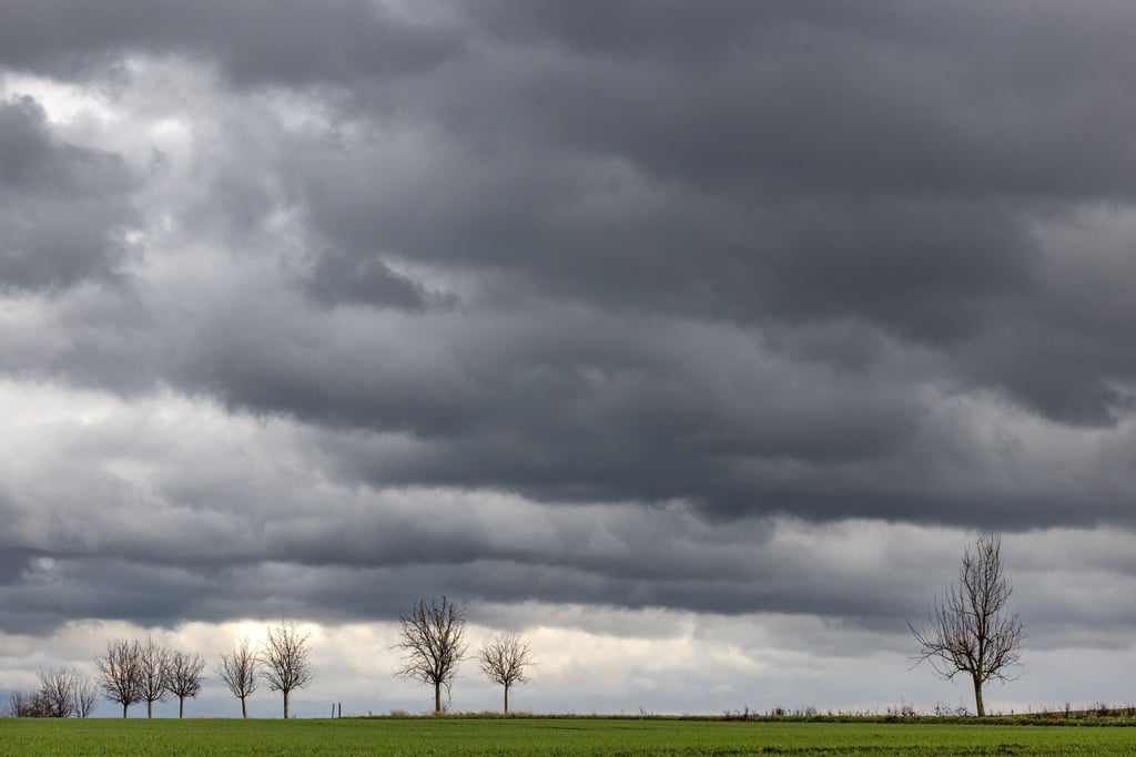 Dunkle Wolken ziehen über eine Baumallee.
