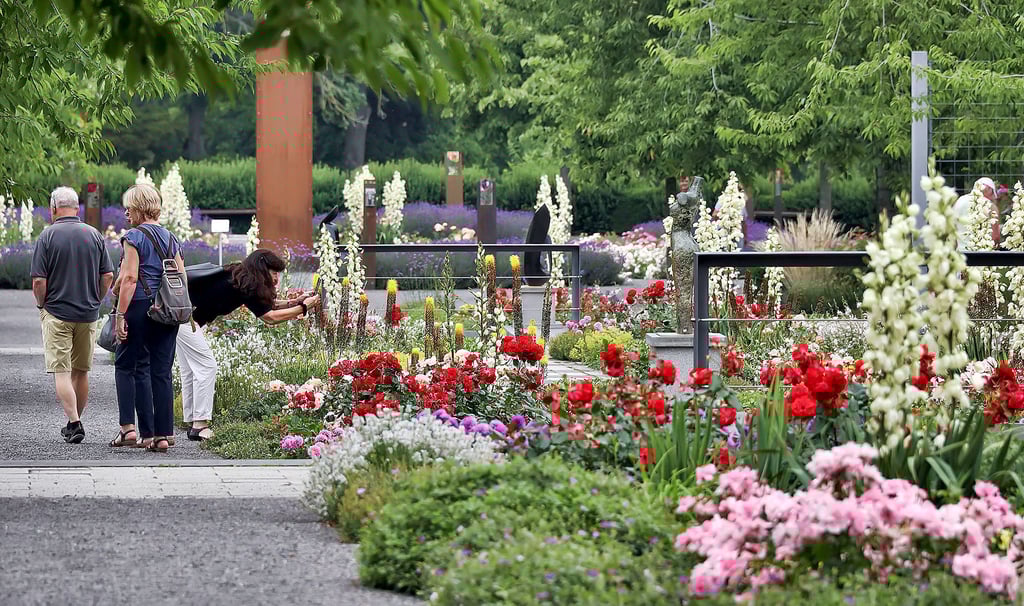 Der Förderverein Freunde des Rosariums Sangerhausen unterstützt mit seinen Aktivitäten den Erhalt des Europa-Rosariums. Nun sammeln die Mitglieder Spenden für neue Bänke im Park.
