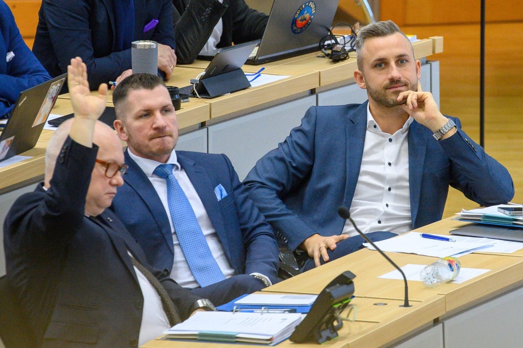 Oliver Kirchner (l-r, AfD), Matthias Büttner (AfD) und Ulrich Siegmund (AfD) sitzen im Landtag von Sachsen-Anhalt an ihren Abgeordnetenplätzen.