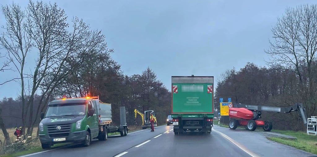 Baumfäll- und Verschnittarbeiten an der Bundesstraße 1 zwischen Möser und Schermen mit Ampelschaltung.