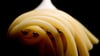 Überraschend: Ausgerechnet bei Produkten aus der Bio-Abteilung fanden sich im Spaghetti-Check der „Öko-Test“ Ausreißer. (zu dpa: „Spaghetti im Öko-Test: Zwei Bio-Produkte rasseln durch“)