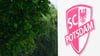 Das Logo des Sportvereins SC Potsdam e.V.