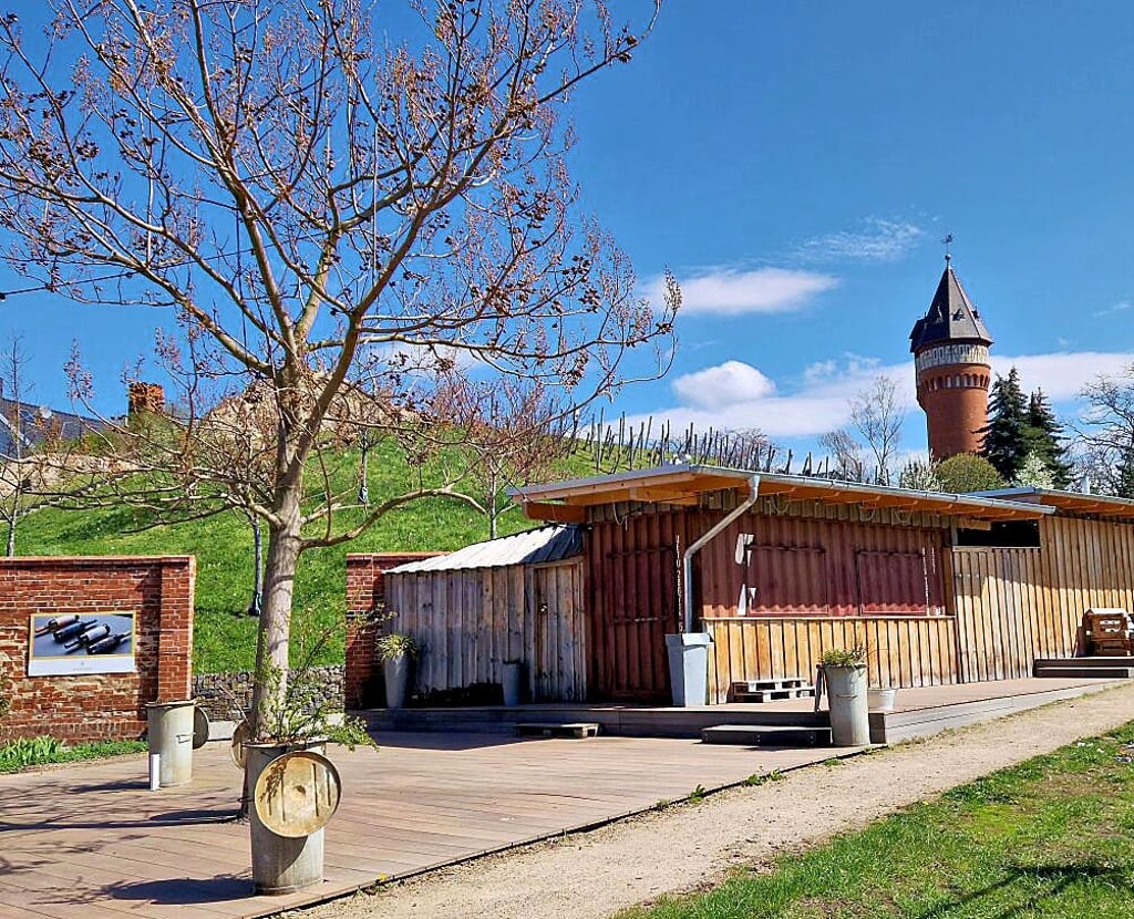 Am 6. Mai beginnt die Weinbergsaison, dann wird auch der Kiosk wieder geöffnet sein.