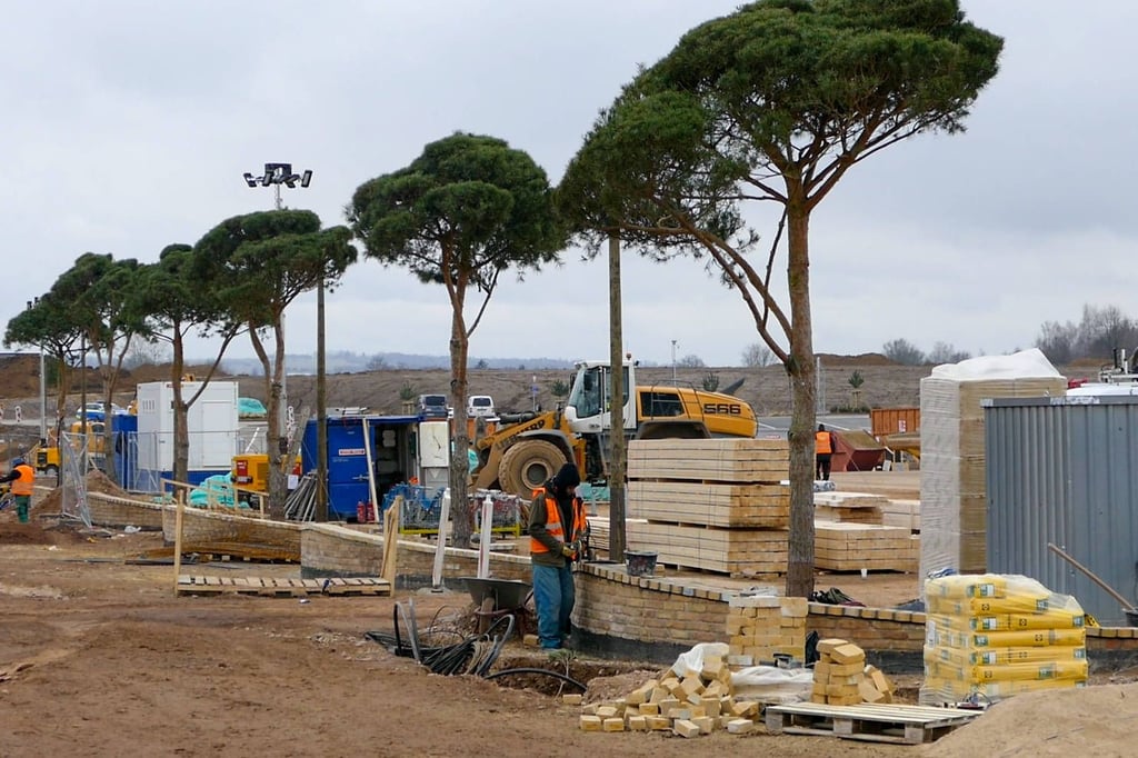 Karls kommt von der Ostsee - von dort wurden auch mehrere Bäume nach Döbeln gebracht, die nun vor dem Hauptgebäude des neuen Erlebnis-Dorfes an der A14 stehen.