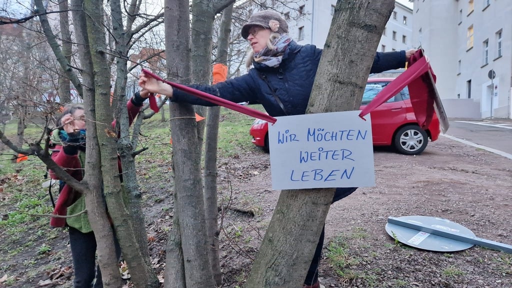 Umweltschützer wollen verhindern, dass die Bäume an der Oper in Halle gefällt werden. Hier soll ein neues Hotel entstehen.