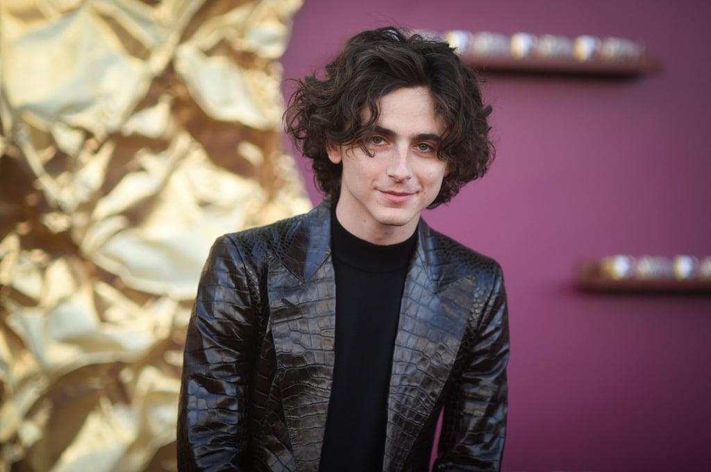 Timothee Chalamet spielt die Hauptrolle im zweiten „Dune“-Film.