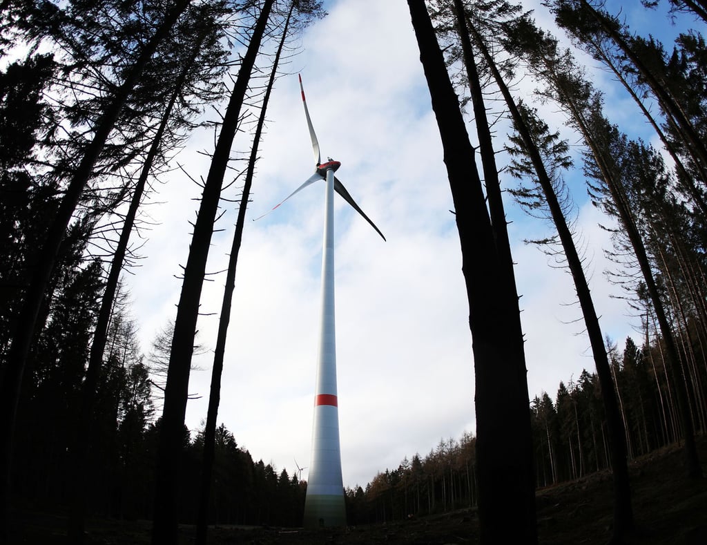 Mit dem gekippten Verbot können nun auch in Sachsen-Anhalt Windkraftanlagen in Wäldern errichtet werden. Für den Burgenlandkreis hält das Kreistagsmitglied Rüdiger Erben (SPD) aber für ausgeschlossen.