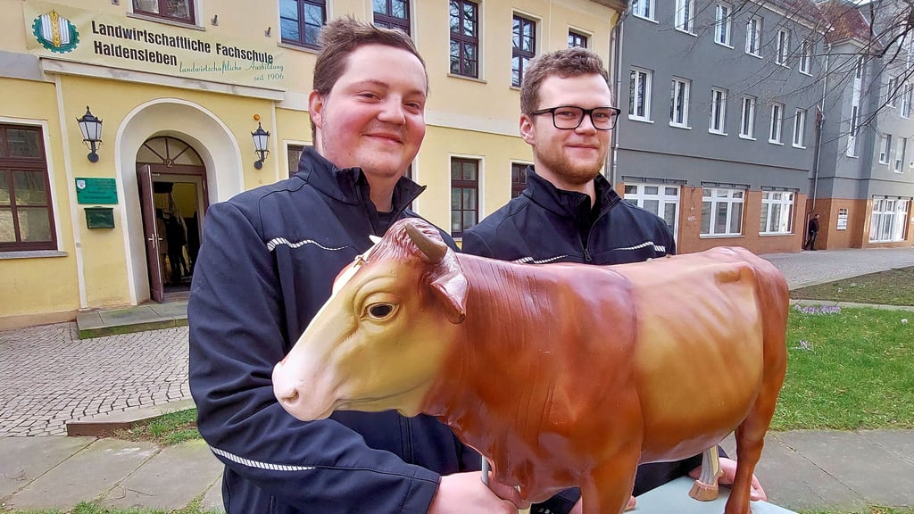 Leon Timm (links) und Justin Paul Müller absolvieren im ersten Semster in Teilzeit eine Ausbildung zum Wirtschafter.